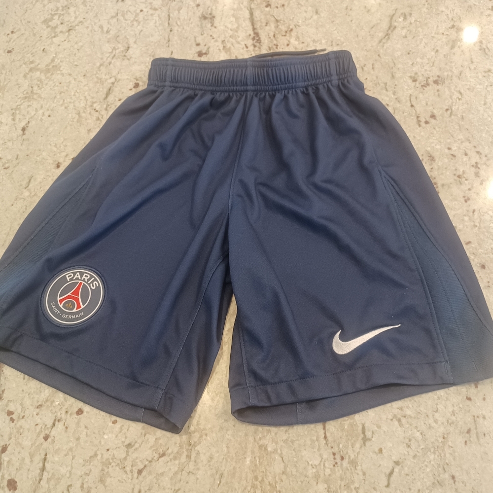Nike Mens Navy PSG Shorts (Small)